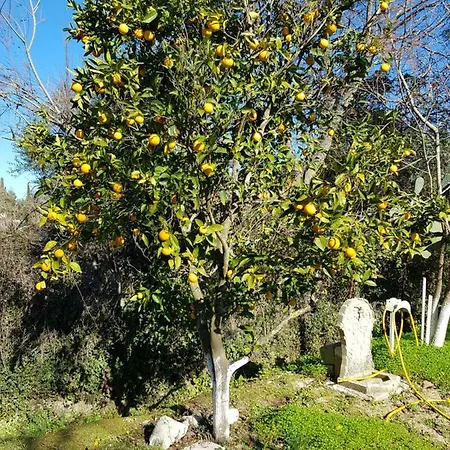 אגיוס גיורגיוס פגון Villa Archontou מראה חיצוני תמונה
